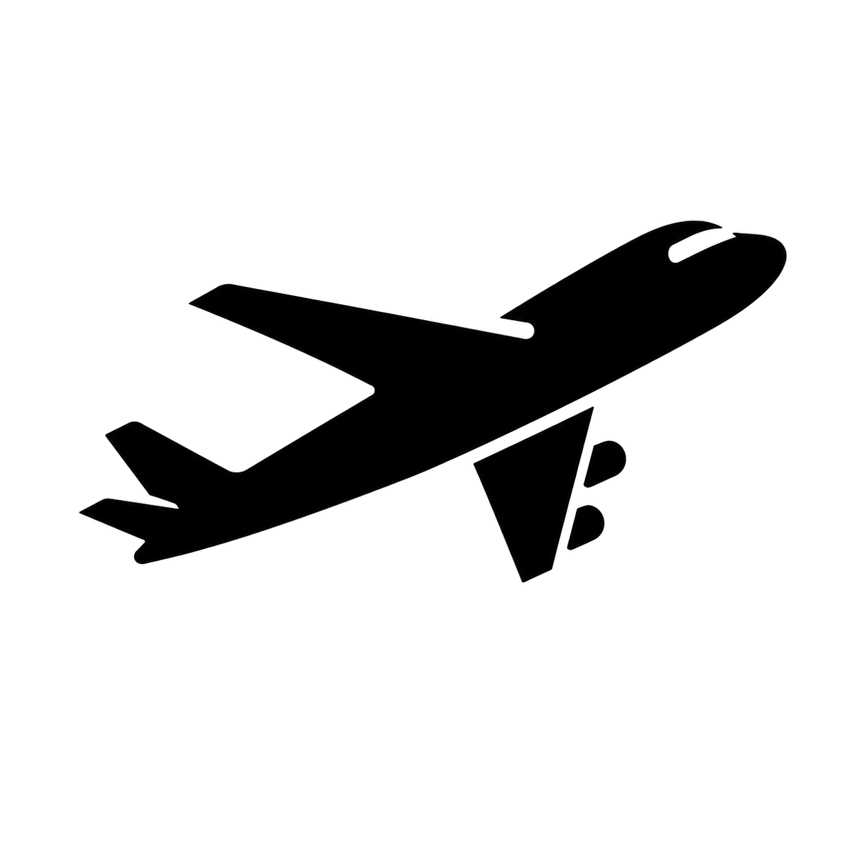 Air freight service icon